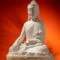 Harmony and Serenity