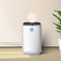 Electric Air Purifier
